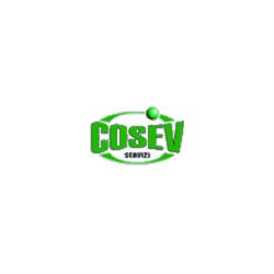 Cosev Servizi S.p.a.