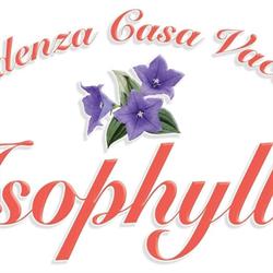 Isophylla