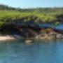 Mare