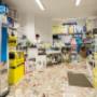 Gallery Professionale