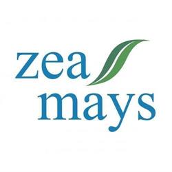 Zea Mays Erboristeria