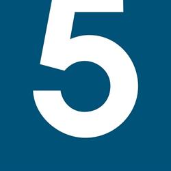 Grafica 5