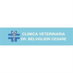 Clinica Veterinaria Belviglieri Dr. Cesare