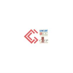 Cantieri Stradali Gallo Srl