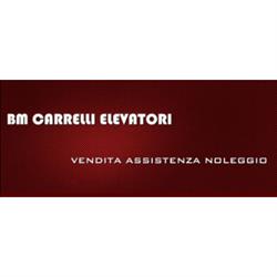 B.M. Carrelli Elevatori