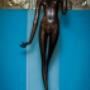 Gallery Professionale