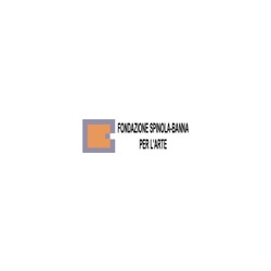 Fondazione Spinola Banna per L'Arte