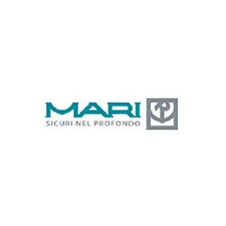 Ing. Mari e C. Srl