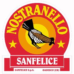 Sanfelice S.p.a.