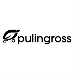Pulingross srl