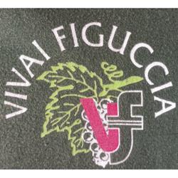 Vivai Figuccia S.a.s