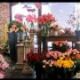 Negozio di Fiori