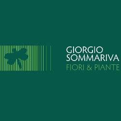 Sommariva Giorgio Fiori e Piante
