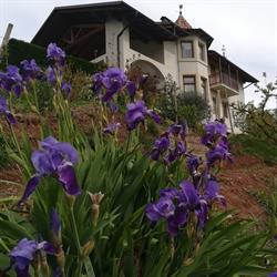 Agriturismo Maso Pomarolli