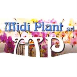 Midi Plant