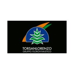 Torsanlorenzo Gruppo Florovivaistico