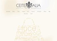 Ceitex Italia SRL