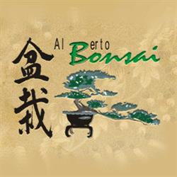 Albonsai
