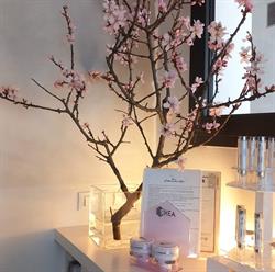 Beauty Spa