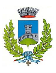 Comune Di Limana