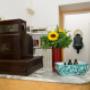 Gallery Professionale
