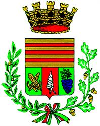 Comune Di Cossato