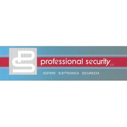 Professional Security