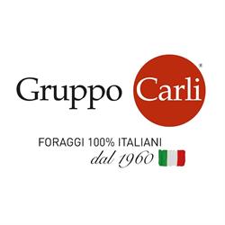 Gruppo Carli - Partecipazioni SPA