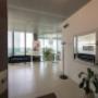 Gallery Professionale