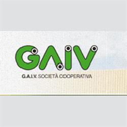 G.A.I.V.
