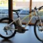 Bicicletta a Pedalata Assistita FLYER RS