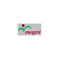 Mogest Molise Gestioni