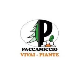 Paccamiccio Vivai e Piante