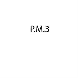 P.M.3