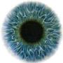 Cornea