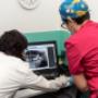 Gallery Professionale