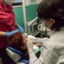 Gallery Professionale