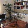 Studio