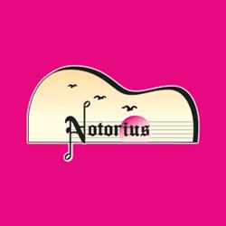 Notorius Strumenti Musicali SNC