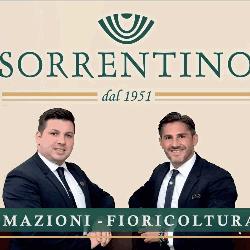 Onoranze Funebri e Fioricoltura Sorrentino