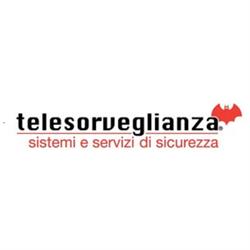 Telesorveglianza Sistemi e Servizi di Sicurezza