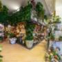 Gallery Professionale