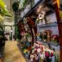 Gallery Professionale