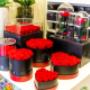 Gallery Professionale