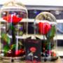 Gallery Professionale