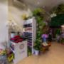 Gallery Professionale