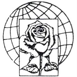 Dimension Flowers - Servizio Interflora