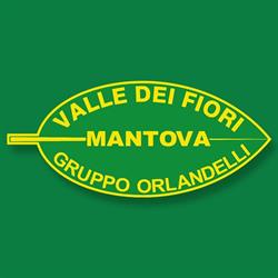 Valle Dei Fiori - Gruppo Orlandelli