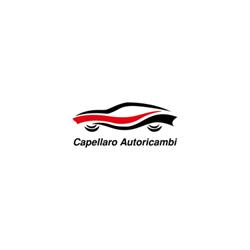 Capellaro Autoricambi