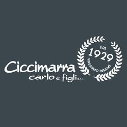 Ciccimarra Carlo & Figli Srl - Noleggio Autobus e Noleggio con conducente NCC
